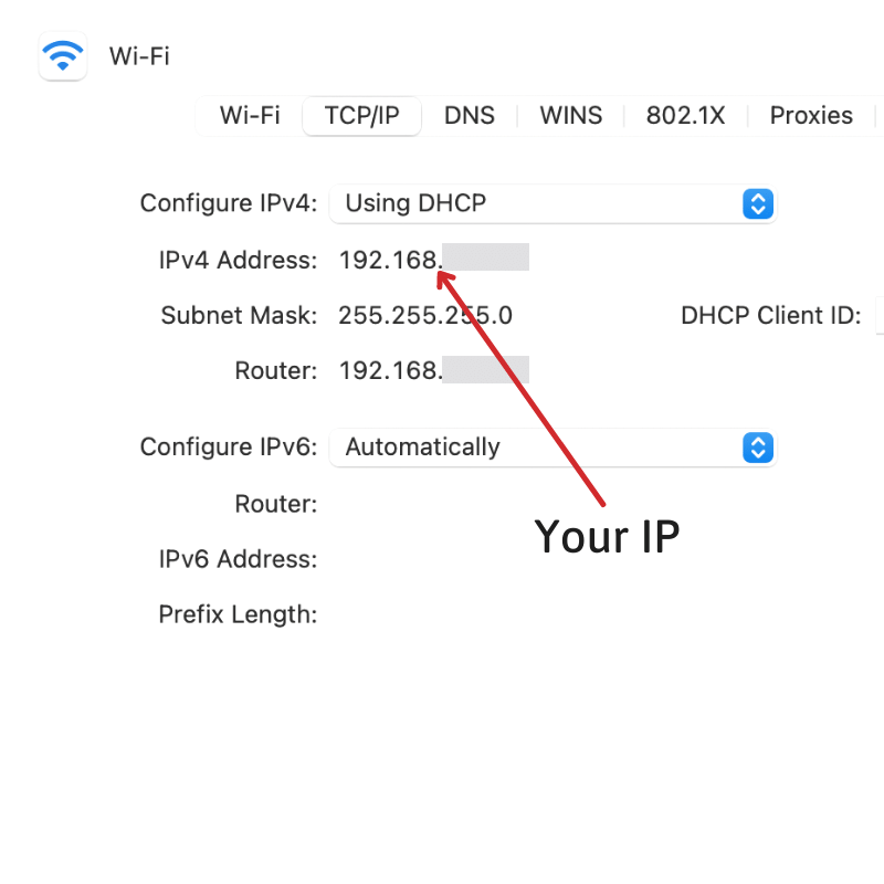 Your IP on MAC